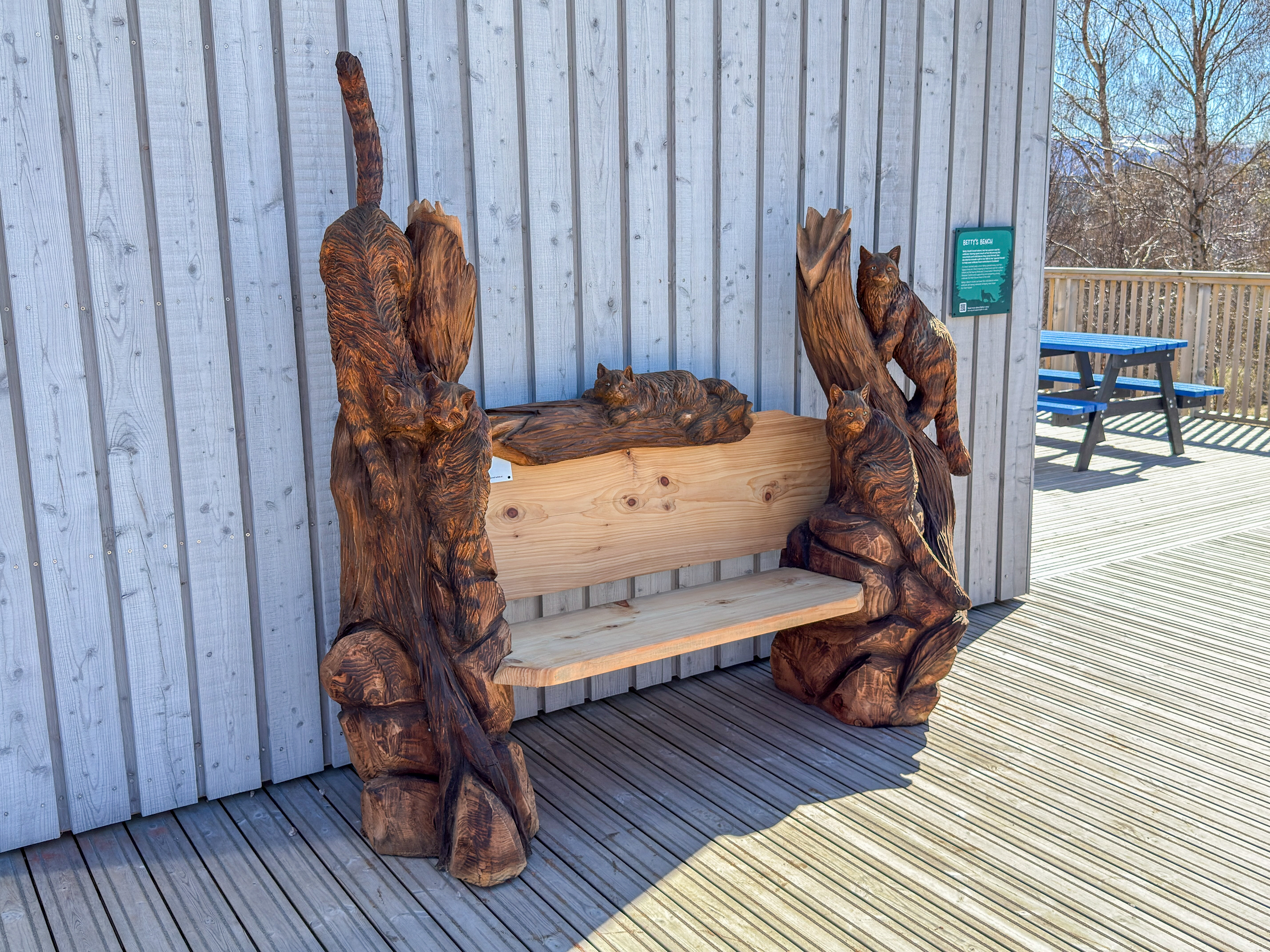 Photo of Betty Heath legacy wildcat bench